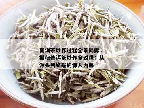 普洱茶炒作过程全景揭露，揭秘普洱茶炒作全过程：从源头到终端的惊人内幕