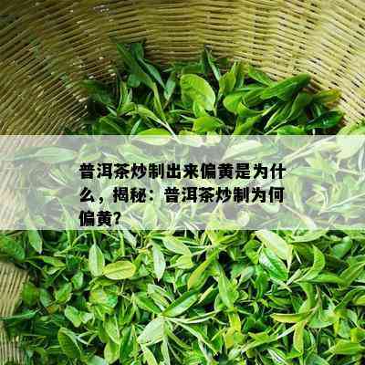 普洱茶炒制出来偏黄是为什么，揭秘：普洱茶炒制为何偏黄？