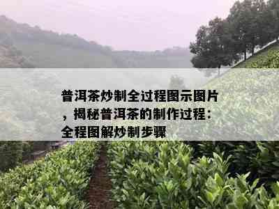 普洱茶炒制全过程图示图片，揭秘普洱茶的制作过程：全程图解炒制步骤