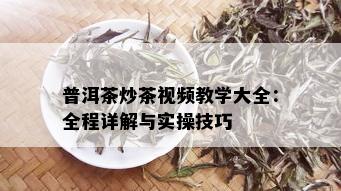 普洱茶炒茶视频教学大全：全程详解与实操技巧