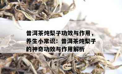 普洱茶炖梨子功效与作用，养生小常识：普洱茶炖梨子的神奇功效与作用解析