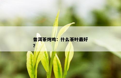 普洱茶炖鸡：什么茶叶更好？