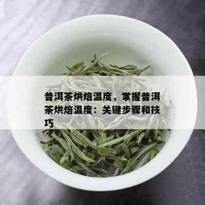 普洱茶烘焙温度，掌握普洱茶烘焙温度：关键步骤和技巧