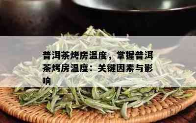 普洱茶烤房温度，掌握普洱茶烤房温度：关键因素与影响