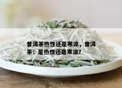 普洱茶热性还是寒凉，普洱茶：是热性还是寒凉？