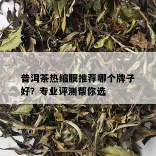 普洱茶热缩膜推荐哪个牌子好？专业评测帮你选