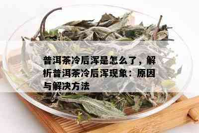 普洱茶冷后浑是怎么了，解析普洱茶冷后浑现象：原因与解决方法