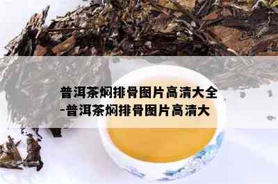 普洱茶焖排骨图片高清大全-普洱茶焖排骨图片高清大