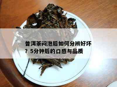 普洱茶闷泡后如何分辨好坏？5分钟后的口感与品质