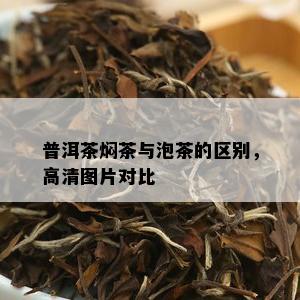 普洱茶焖茶与泡茶的区别，高清图片对比