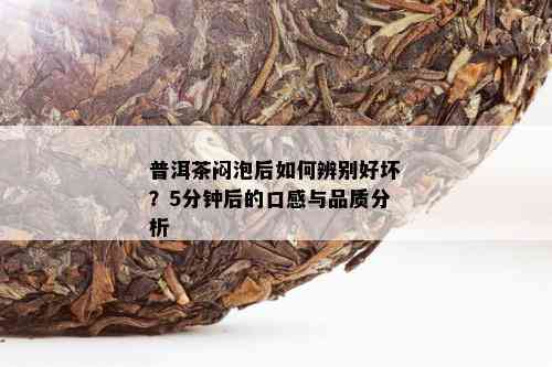 普洱茶闷泡后如何辨别好坏？5分钟后的口感与品质分析