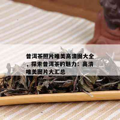 普洱茶照片唯美高清图大全，探索普洱茶的魅力：高清唯美图片大汇总