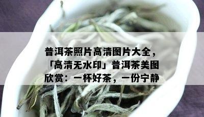 普洱茶照片高清图片大全，「高清无水印」普洱茶美图欣赏：一杯好茶，一份宁静