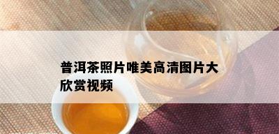 普洱茶照片唯美高清图片大欣赏视频