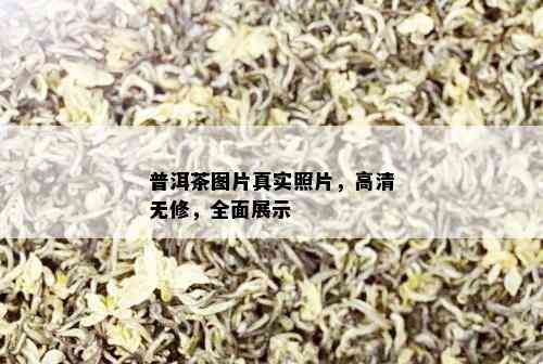 普洱茶图片真实照片，高清无修，全面展示