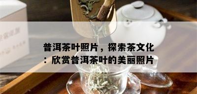 普洱茶叶照片，探索茶文化：欣赏普洱茶叶的美丽照片