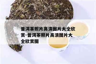 普洱茶照片高清图片大全欣赏-普洱茶照片高清图片大全欣赏图