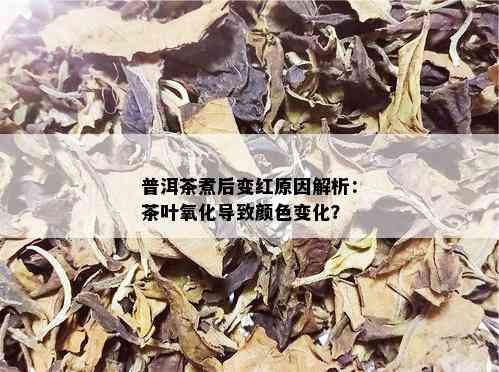 普洱茶煮后变红原因解析：茶叶氧化导致颜色变化？