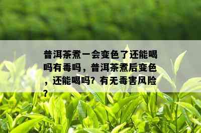 普洱茶煮一会变色了还能喝吗有吗，普洱茶煮后变色，还能喝吗？有无害风险？