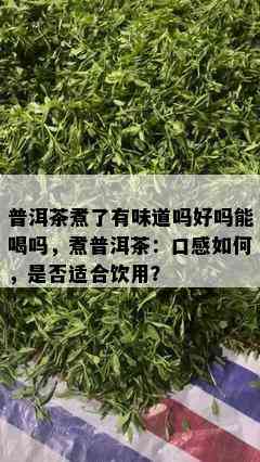 普洱茶煮了有味道吗好吗能喝吗，煮普洱茶：口感如何，是否适合饮用？