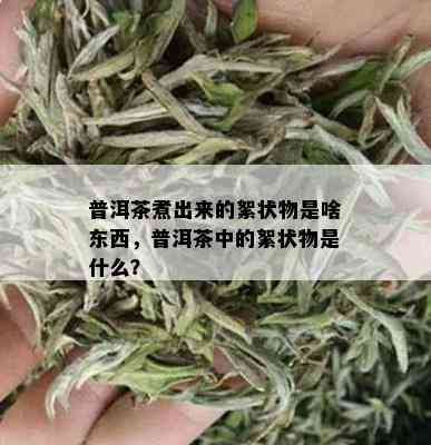 普洱茶煮出来的絮状物是啥东西，普洱茶中的絮状物是什么？