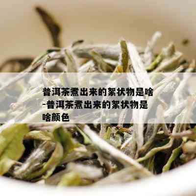 普洱茶煮出来的絮状物是啥-普洱茶煮出来的絮状物是啥颜色