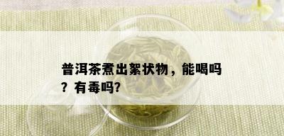 普洱茶煮出絮状物，能喝吗？有吗？