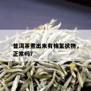 普洱茶煮出来有棉絮状物，正常吗？