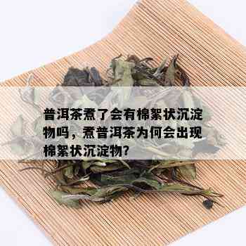 普洱茶煮了会有棉絮状沉淀物吗，煮普洱茶为何会出现棉絮状沉淀物？