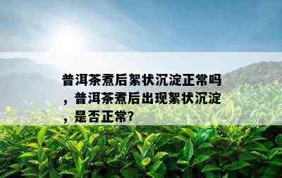 普洱茶煮后絮状沉淀正常吗，普洱茶煮后出现絮状沉淀，是否正常？