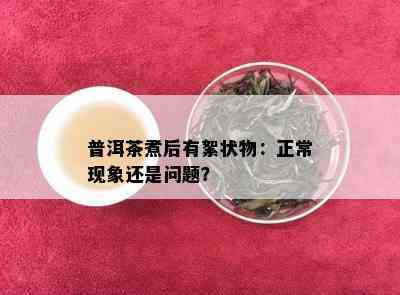 普洱茶煮后有絮状物：正常现象还是问题？