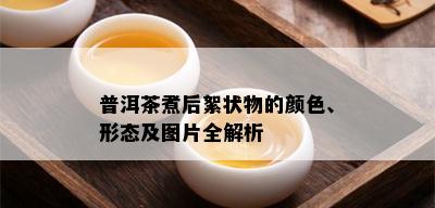 普洱茶煮后絮状物的颜色、形态及图片全解析