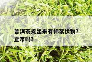 普洱茶煮出来有棉絮状物？正常吗？