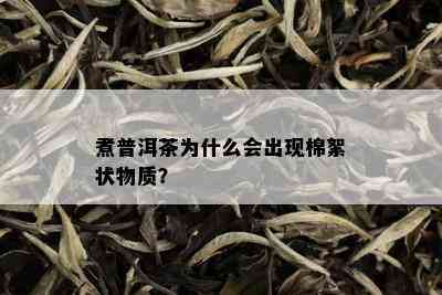 煮普洱茶为什么会出现棉絮状物质？