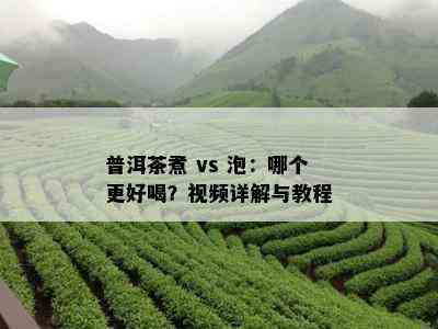 普洱茶煮 vs 泡：哪个更好喝？视频详解与教程