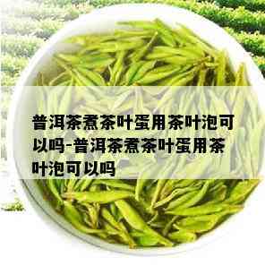 普洱茶煮茶叶蛋用茶叶泡可以吗-普洱茶煮茶叶蛋用茶叶泡可以吗