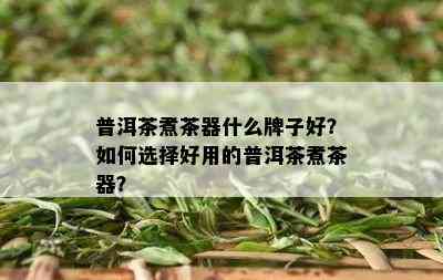 普洱茶煮茶器什么牌子好？如何选择好用的普洱茶煮茶器？