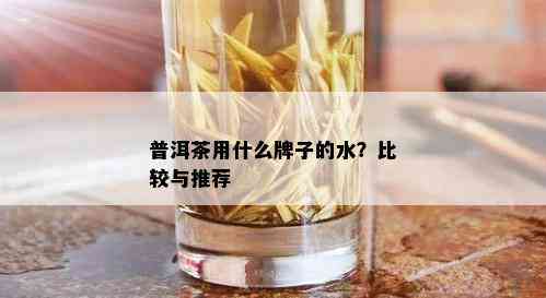 普洱茶用什么牌子的水？比较与推荐