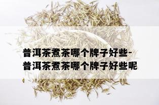 普洱茶煮茶哪个牌子好些-普洱茶煮茶哪个牌子好些呢