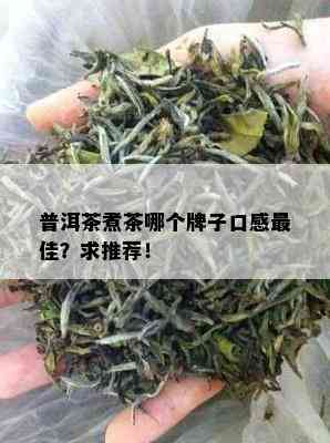 普洱茶煮茶哪个牌子口感更佳？求推荐！