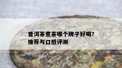 普洱茶煮茶哪个牌子好喝？推荐与口感评测