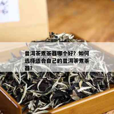 普洱茶煮茶器哪个好？如何选择适合自己的普洱茶煮茶器？