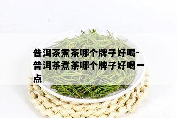 普洱茶煮茶哪个牌子好喝-普洱茶煮茶哪个牌子好喝一点