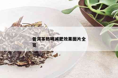 普洱茶熟喝减肥效果图片全览