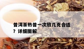 普洱茶熟普一次放几克合适？详细图解