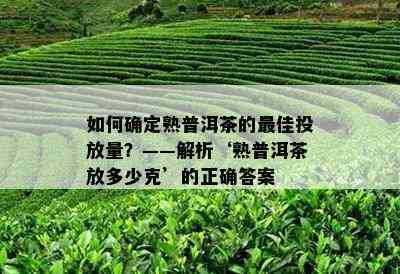 如何确定熟普洱茶的更佳投放量？——解析‘熟普洱茶放多少克’的正确答案