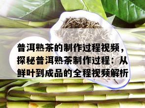 普洱熟茶的制作过程视频，探秘普洱熟茶制作过程：从鲜叶到成品的全程视频解析