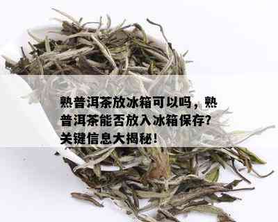 熟普洱茶放冰箱可以吗，熟普洱茶能否放入冰箱保存？关键信息大揭秘！