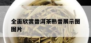 全面欣赏普洱茶熟普展示图图片