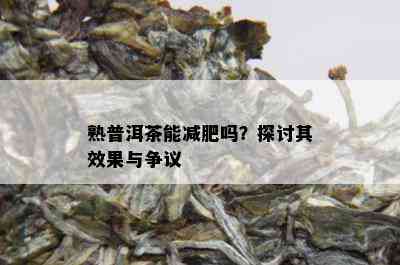 熟普洱茶能减肥吗？探讨其效果与争议